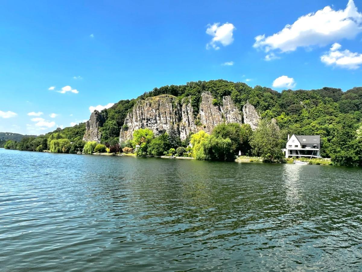 Mes Caprices B&B Villa Mosan Bord De Meuse Намюр Екстериор снимка